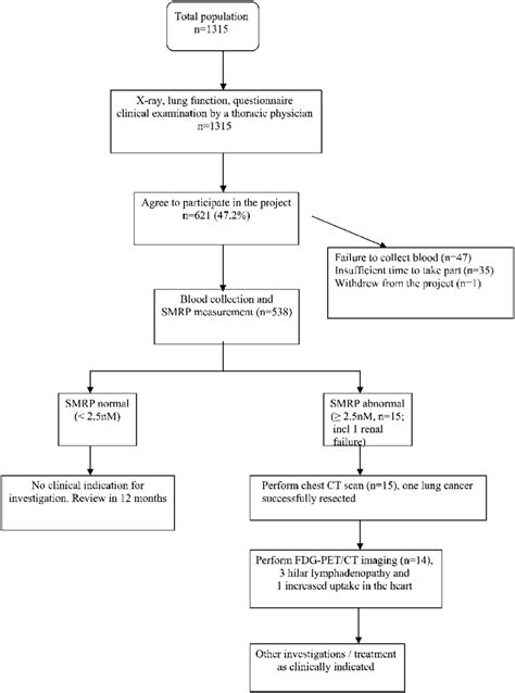 Study Flow Chart Ct Computed Tomography Fdg Pet Ct