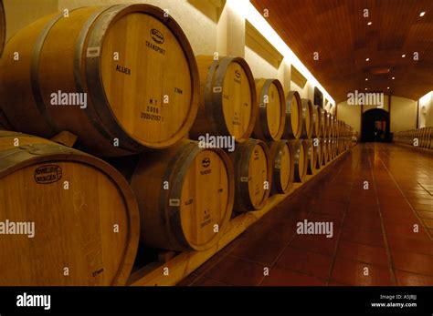 Concha y Toro winery Chile Maipo Valley Wine tours Stock Photo - Alamy