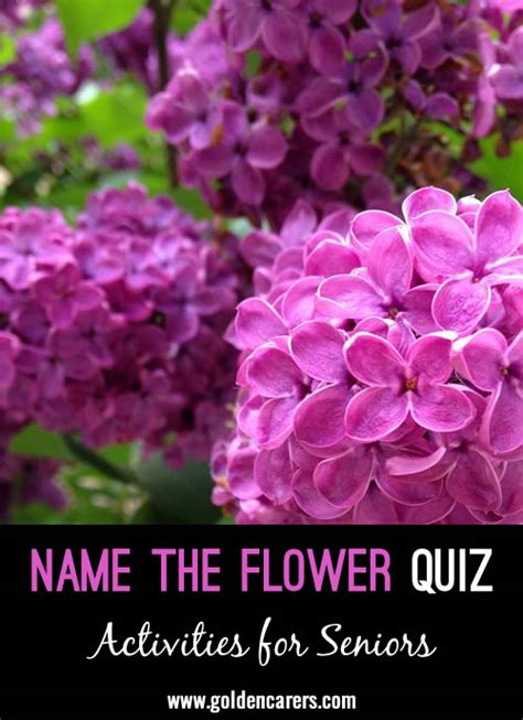 Name the Flowers Quiz #1