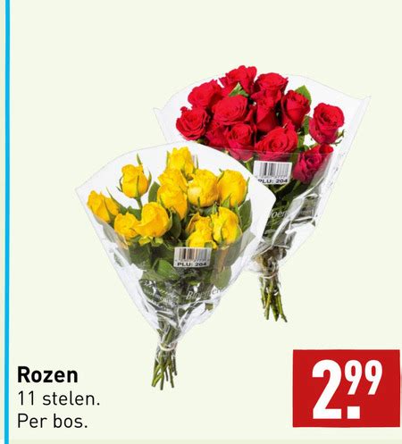 Rozen Folder Aanbieding Bij Aldi Details