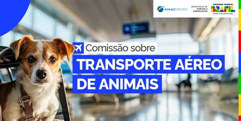 Anac E Mpor Lan Am Comiss O Sobre Transporte A Reo De Pets Dia