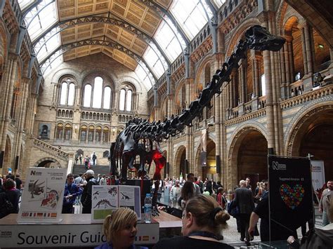 Top 10 Facts About British Museums British Travel