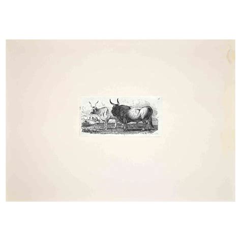 After Charles Coleman, The Bulls in the Roman Countryside, Etching