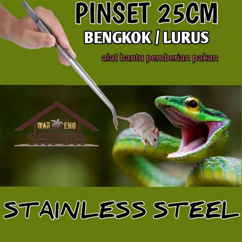 Jual Pinset Reptile Capitan Tikus Jangkrik Makanan Reptile Ular Gecko