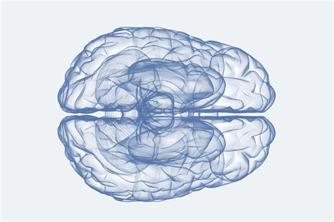 The Brain Research | FIU Medicine