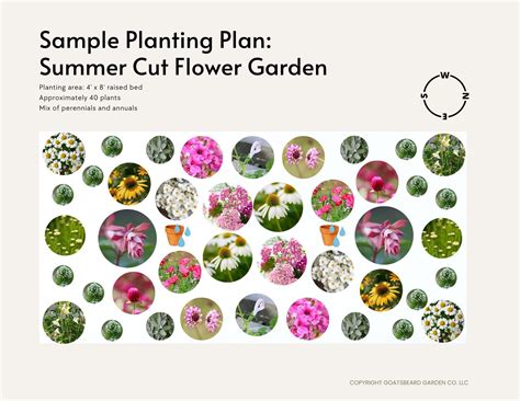 Service Cut Flower Garden Planting Plan — Goatsbeard Garden Co