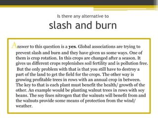 Slash and burn | PPT