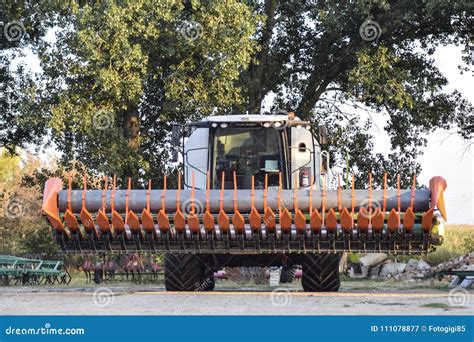 Machine for Harvesting Sunflower. Editorial Photography - Image of ...