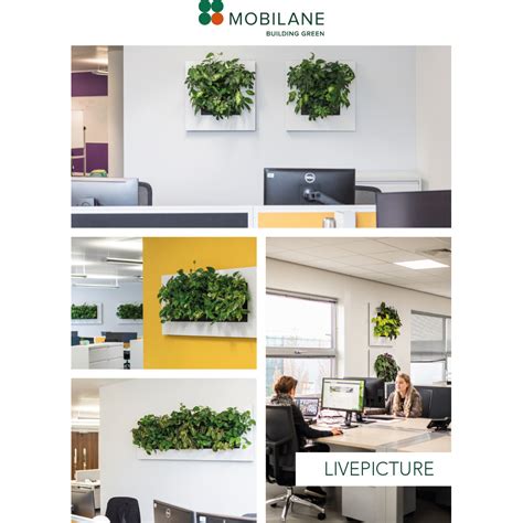 Mobilane Partner Portal Livepicture Factsheet