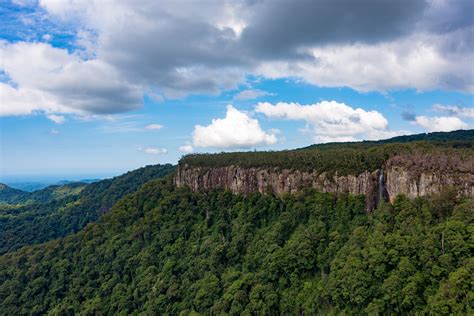 Infinitepx Photography - Springbrook National Park