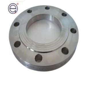 Special Shaped Large Caliber Stainless Steel Flange Carbon Steel