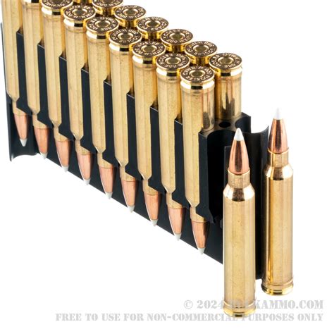 20 Rounds Of Bulk 300 Win Mag Ammo By Nosler Trophy Grade Ammunition