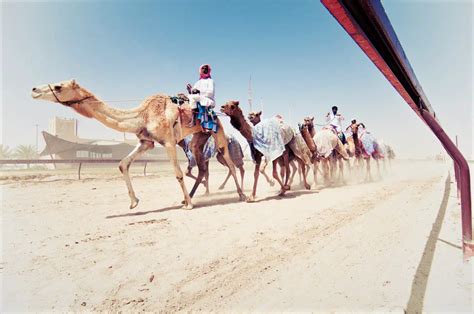 Unforgettable Qatar's Adventures - Travel Guides - Mondosol