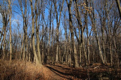 Beau Temps Suzanne Lacroix Flickr