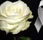 Mo Os De Luto Con Una Rosa Blanca Para Compartir Con Quien A Perdido A