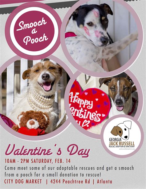 Smooch a Pooch Event | Georgia Jack Russell Rescue