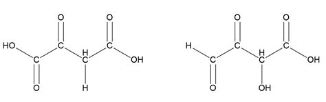 Oxaloacetic Acid An Important Intermediate In Food Metaboli Quizlet