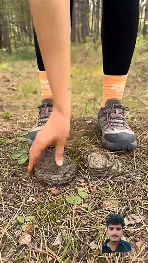 Shock😱 Girl Uses Cow Poop🐄💩camping Survival Bushcraft Outdoors