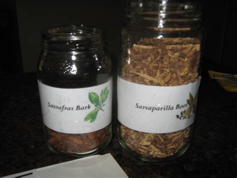 Simply Resourceful: Sarsaparilla Soda