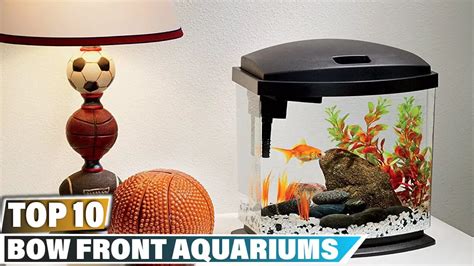 46 Gallon Bow Front Aquarium Hood: Features and Benefits - Aquariumia