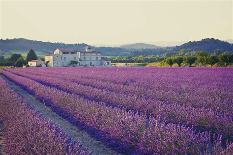 Provence & the Côte d'Azur travel | France - Lonely Planet