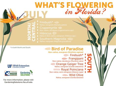 Florida Plants Flowering This Month Gardening Solutions University