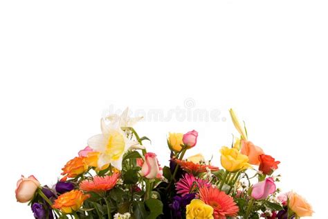 Variety of flowers stock photo. Image of beauty, bright - 2663040