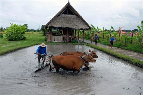 14 Tempat Study Tour Bali Murah Dan Edukatif