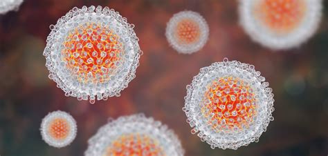 Sexual Transmission Of Hepatitis C Is Uncommon Among Prep Users Hep