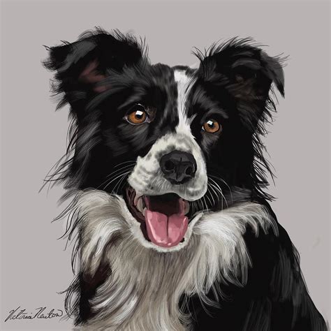 Border Collie Art