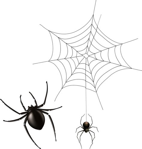 Halloween Cobwebs Clipart 7 Spider Web Png Bear Transparent