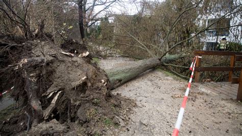 Sturm Burglind Gvb Sch Tzt Sch Den Auf Millionen News Srf