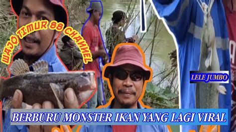 BERBURU IKAN PREDATOR DI SPOT YANG LAGI VIRAL IKAN LELE JUMBO