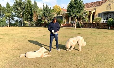 Imran Khan Pti House In Bani Gala