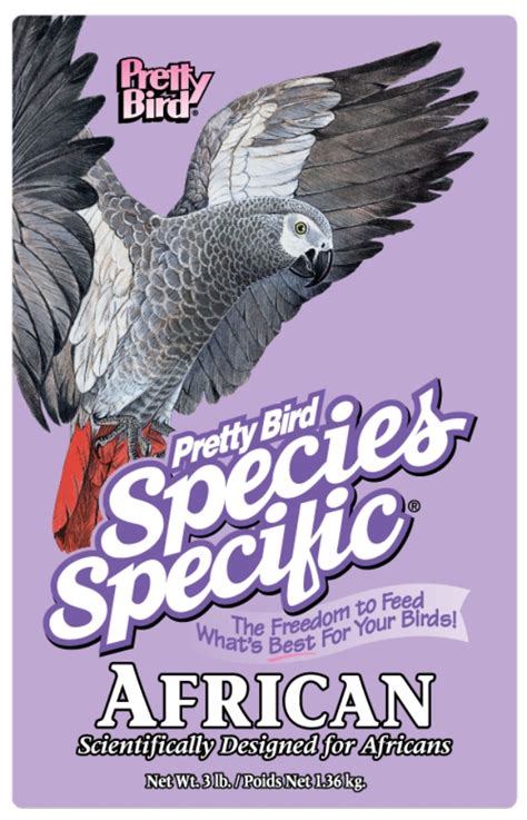 African Grey Diet Sheet