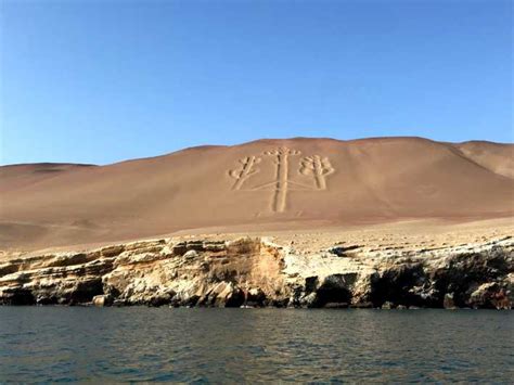 From Lima Ballestas Island And Paracas Reserve Private Tour Getyourguide