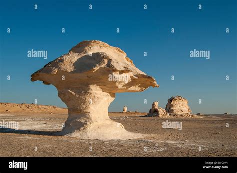 Mushroom Rock Formations, White Desert (Sahara el Beyda), Egypt Stock ...