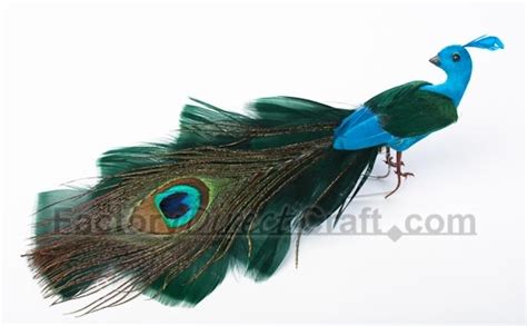 There Is A Blue And Green Bird With Feathers On It S Tail Against A