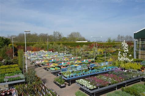 Voorjaar Fotoalbums Tuincentrum Tuin In Zwaagwesteinde