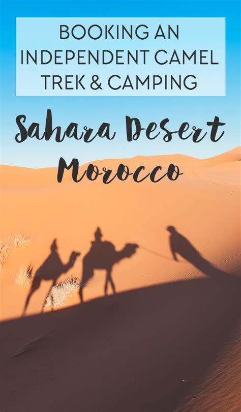 A Detailed Guide For How To Independently Book A Camel Trek And Camping