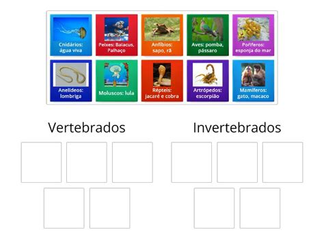 Macaco É Vertebrado Ou Invertebrado - vertebrados ou invertebrados - Group sort