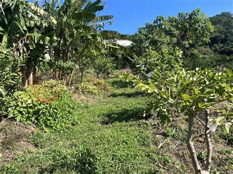 土地芎林視野美地新竹縣芎林鄉竹林路 樂屋網 土地買賣