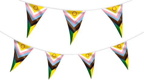 Intersex Progress Pride Bunting Hampshire Flag Company