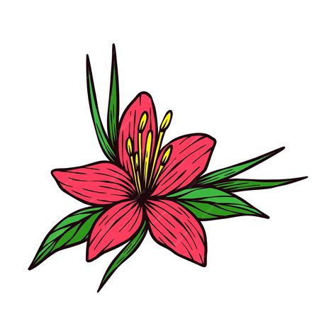 Premium Vector Hand Drawing Hibiscus Flower Vector Illustration