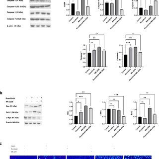 Combined Treatment With Ruxolitinib And Mk Inhibits The Jak Stat