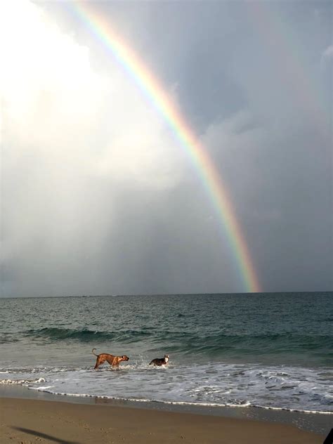 Ocean Park Beach, San Juan 🇵🇷 : r/beach