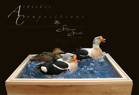 Sea Duck And Waterfowl Taxidermy Sea Duck And Goose Mounts Habitat Scenes With Waterfowl