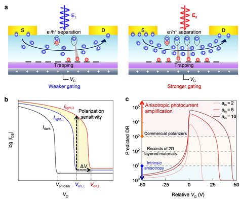 Anisotropic Charge Trapping In Phototransistors Unlocks Ultrasensitive