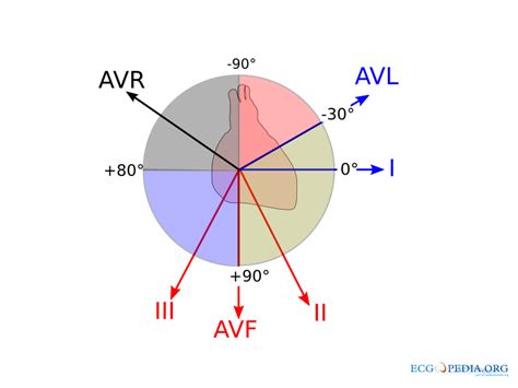 Bestand Ecg Lead Angulation Svg Ecgpedia