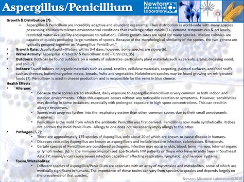 Penicillium Mold Levels